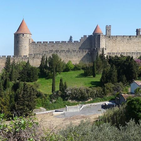 Le Patio Cathare Apartment Carcassonne Ngoại thất bức ảnh