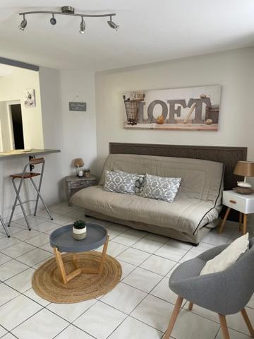 Le Patio Cathare Apartment Carcassonne Ngoại thất bức ảnh