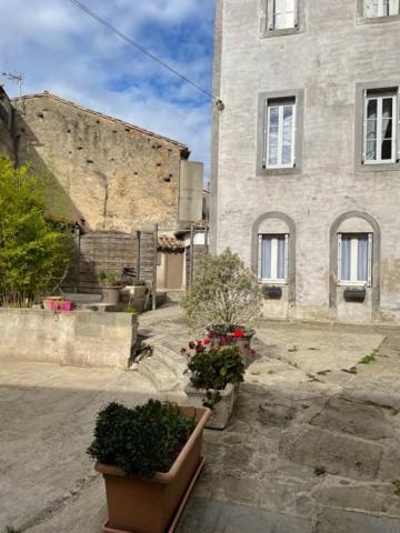 Le Patio Cathare Apartment Carcassonne Ngoại thất bức ảnh