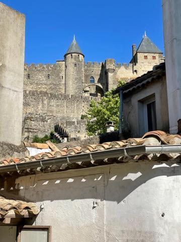 Le Patio Cathare Apartment Carcassonne Ngoại thất bức ảnh