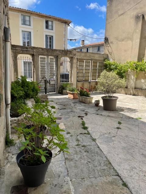 Le Patio Cathare Apartment Carcassonne Ngoại thất bức ảnh