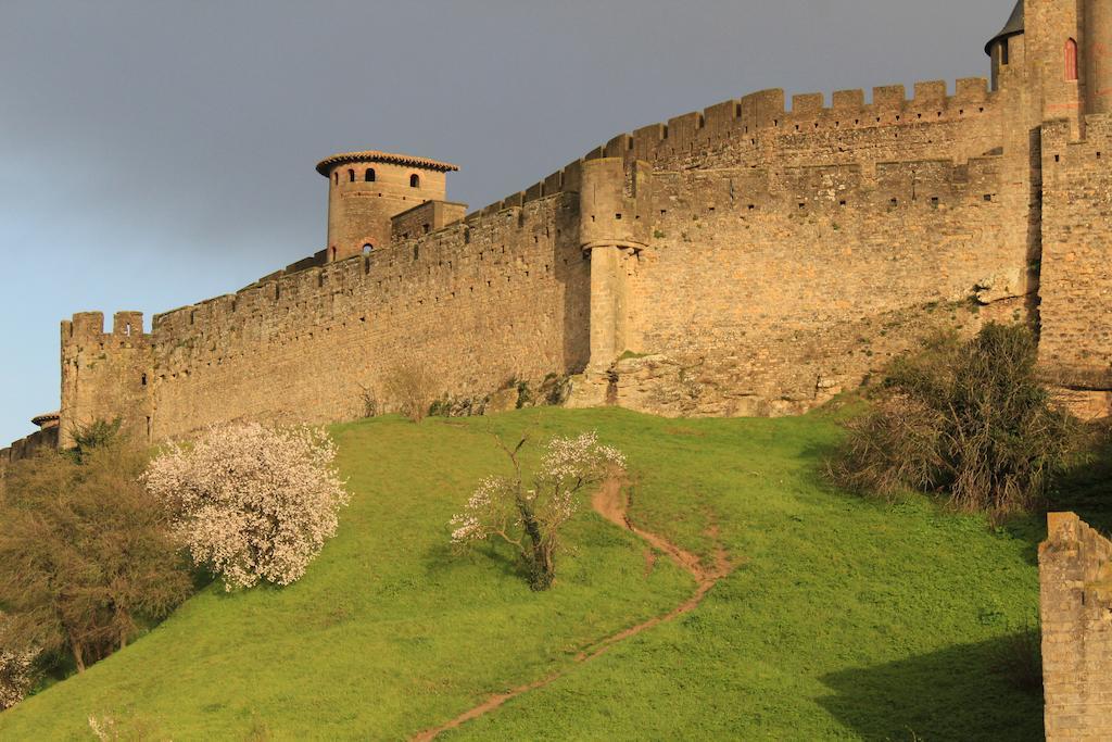 Le Patio Cathare Apartment Carcassonne Ngoại thất bức ảnh