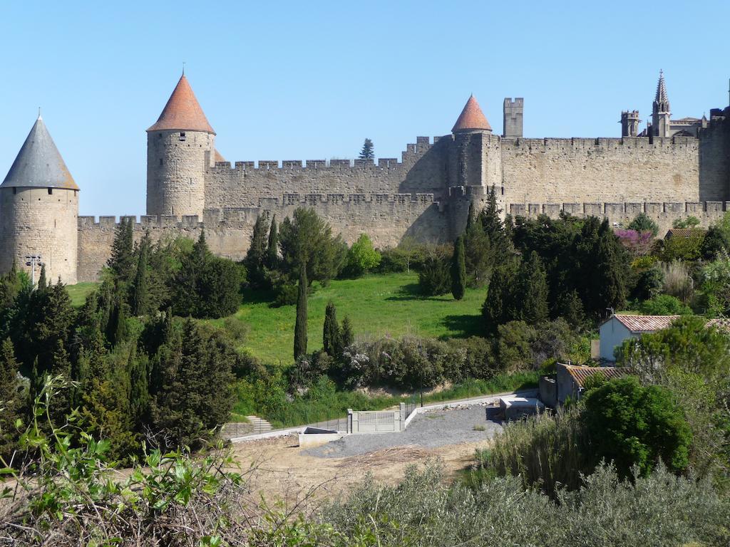 Le Patio Cathare Apartment Carcassonne Ngoại thất bức ảnh